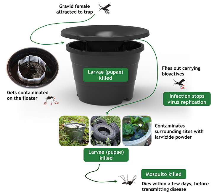 A graphic that shows how the In2Care Mosquito Station works.